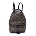 Louis Vuitton Monogram Palm Springs Backpack Mini