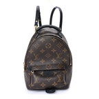 Louis Vuitton Monogram Palm Springs Backpack Mini