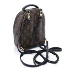 Louis Vuitton Monogram Palm Springs Backpack Mini