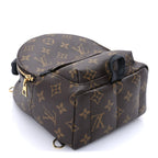Louis Vuitton Monogram Palm Springs Backpack Mini