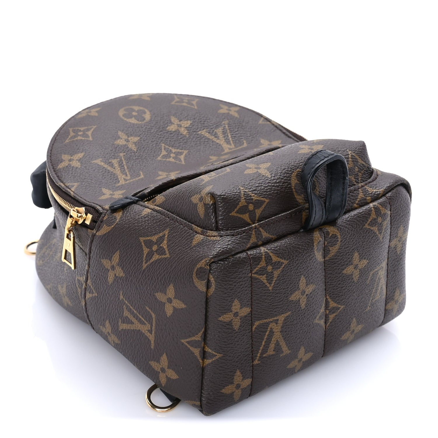 Louis Vuitton Monogram Palm Springs Backpack Mini