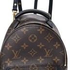 Louis Vuitton Monogram Palm Springs Backpack Mini