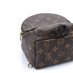 Louis Vuitton Monogram Palm Springs Backpack Mini
