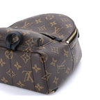 Louis Vuitton Monogram Palm Springs Backpack Mini