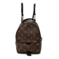 Louis Vuitton Monogram Palm Springs Backpack Mini