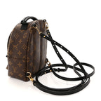 Louis Vuitton Monogram Palm Springs Backpack Mini