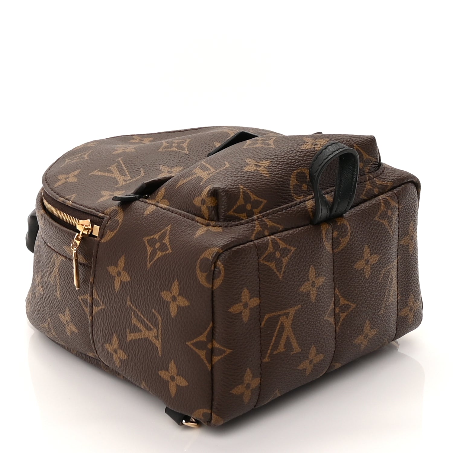 Louis Vuitton Monogram Palm Springs Backpack Mini