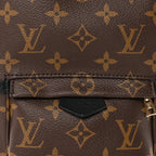 Louis Vuitton Monogram Palm Springs Backpack Mini