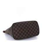 Louis Vuitton Damier Ebene Saleya PM Brown