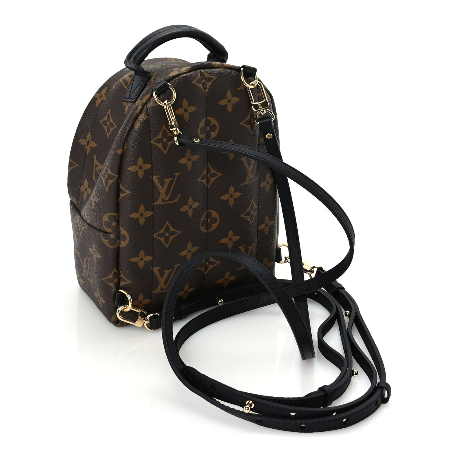 Louis Vuitton Monogram Palm Springs Backpack Mini