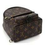 Louis Vuitton Monogram Palm Springs Backpack Mini