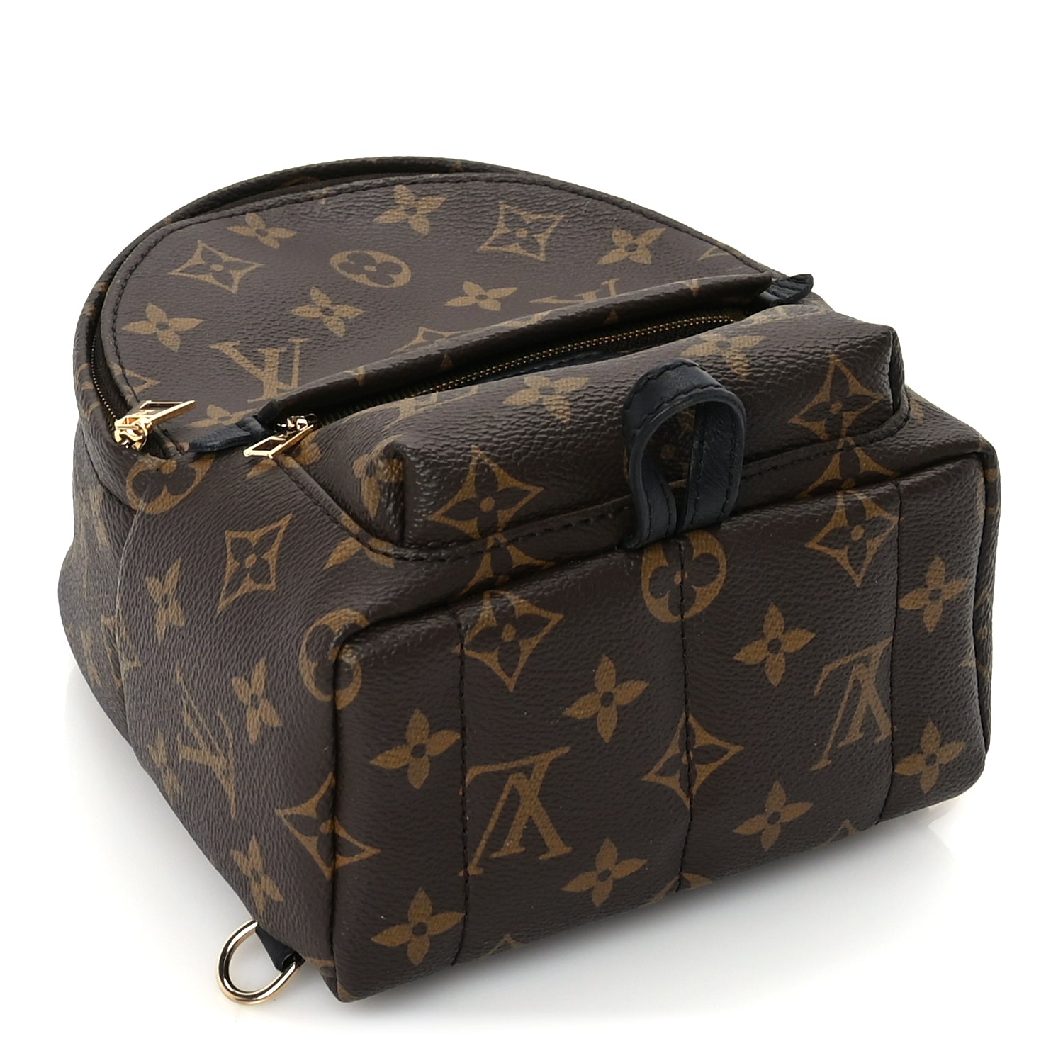 Louis Vuitton Monogram Palm Springs Backpack Mini