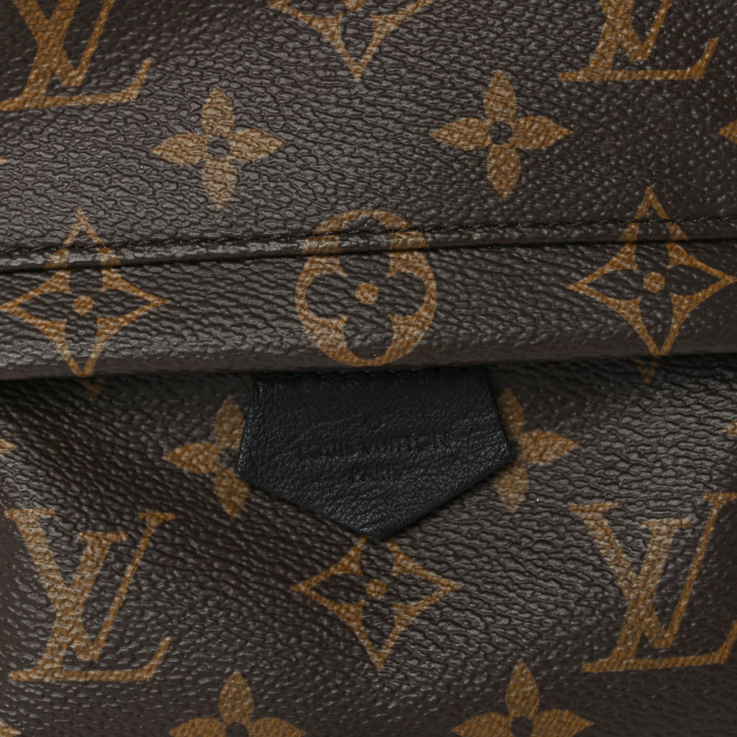 Louis Vuitton Monogram Palm Springs Backpack Mini