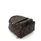 Louis Vuitton Monogram Palm Springs Backpack Mini