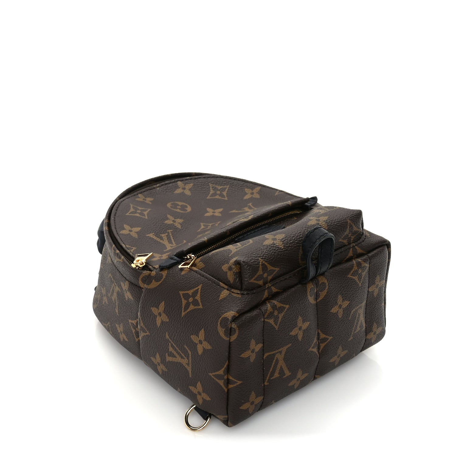 Louis Vuitton Monogram Palm Springs Backpack Mini