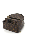 Louis Vuitton Monogram Palm Springs Backpack Mini