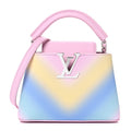 Louis Vuitton Taurillon Mini Degrade Rainbow V Capucines